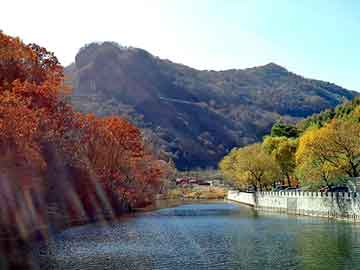 新澳天天开奖资料大全旅游团，北斗星论坛